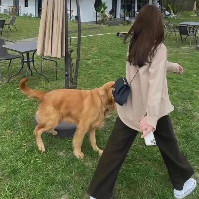 造物者